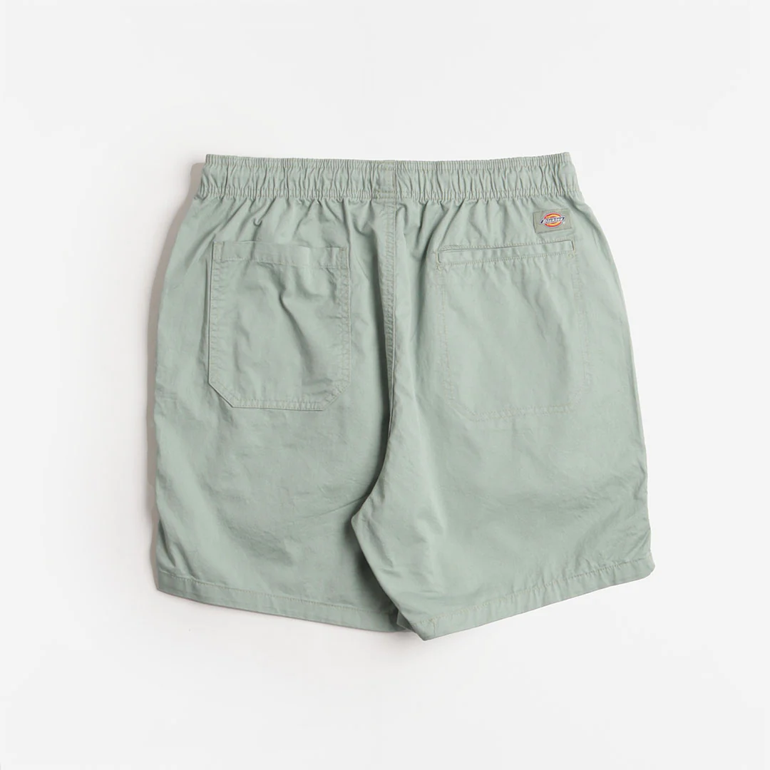 Dickies Pelican Rapids Shorts - Image 3