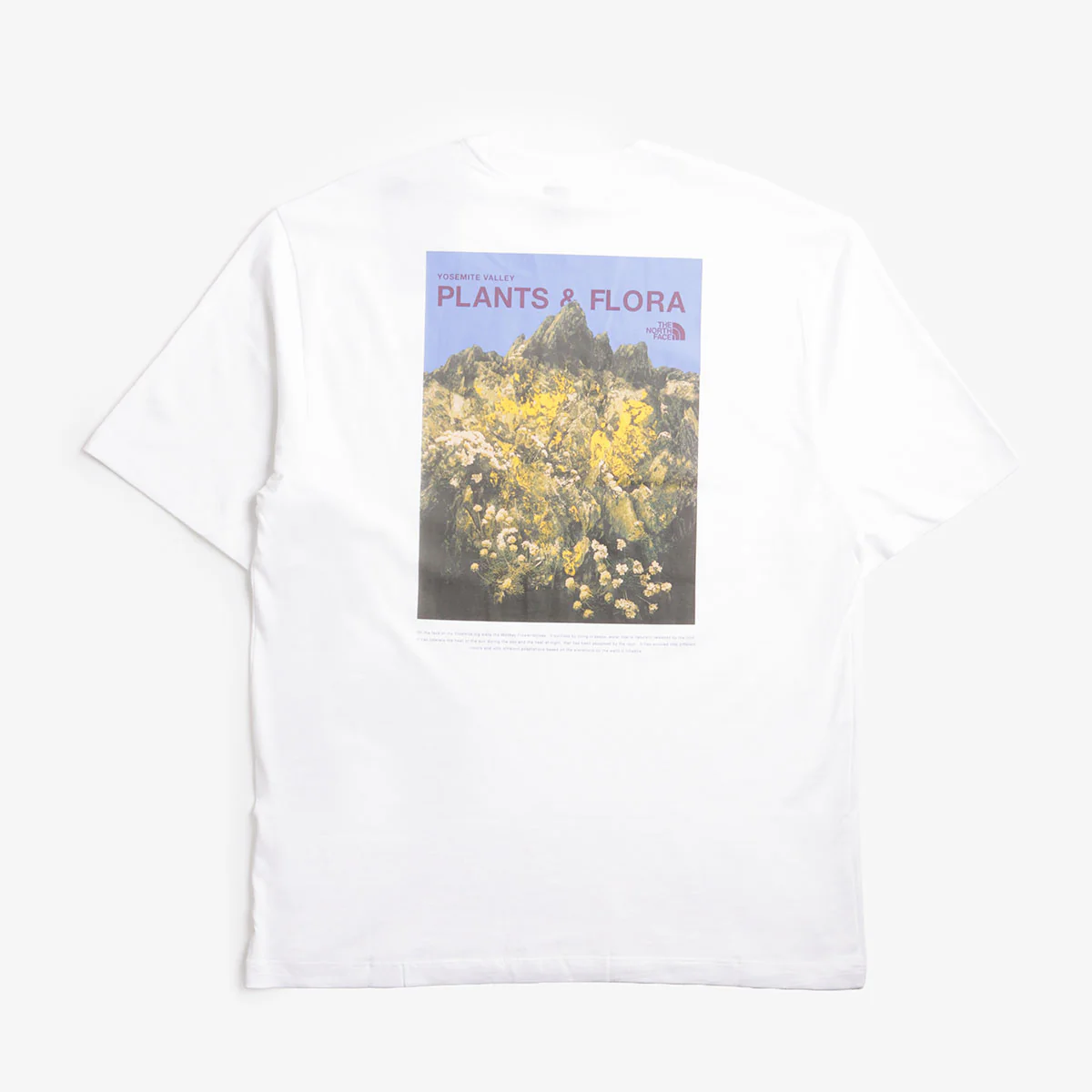 The North Face Plant & Flora Oversized Graphic T-Shirt - Image 3